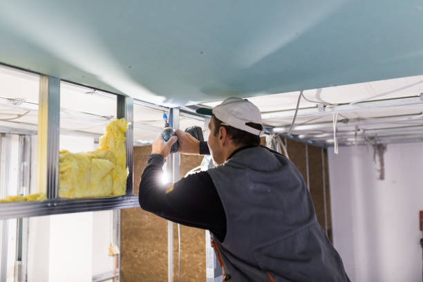 Best Types of Insulation in North Weeki Wachee, FL